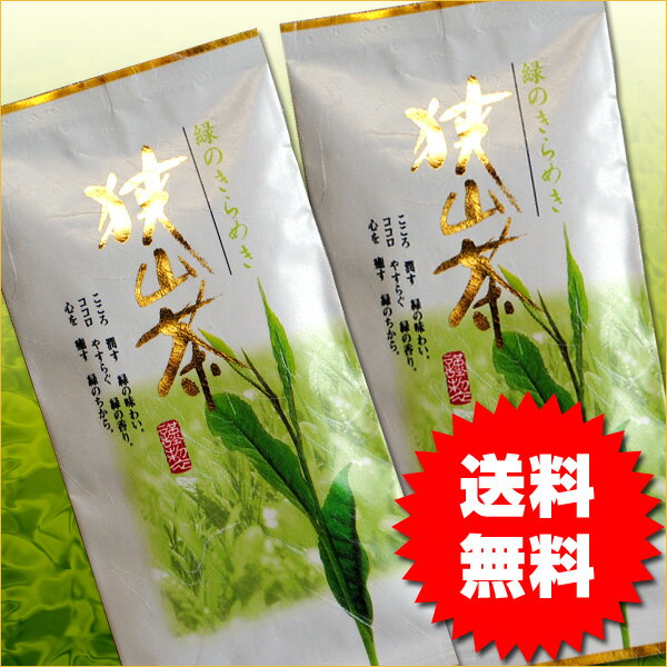 【送料無料】狭山茶100g2本セット メール便平成22年度産茶葉使用（2010年度茶葉）東京都 小平市【狭山茶問屋 鈴木園】【smtb-t】狭山茶2本セットをメール便でお届け