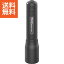 【送料無料】LEDライト&充電式ヘッドライト〈8405−E/500856X2〉(bo) 内祝い お返し プレゼント 自家消費【60s】