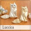 ルチカ Luccica / おすましネコ 【イヤリング】 猫 ねこ ネコ かわいい おしゃれ ゴールド シルバー 大きい ねこ 猫 ネコ アクセサリー しっぽ 揺れる