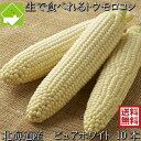 とうもろこし 送料無料 低農薬栽培 北海道産 生で食べれる 白いトウモロコシ ピュアホワイト 10本 別途送料が発生する地域あり 日時指定不可 7月発送開始