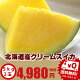 スイカ 北海道富良野産 クリームスイカ 5kg以上 2玉入り 送料無料