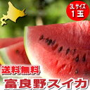 すいか 北海道富良野産 富良野スイカ 3Lサイズ 7.5kg以上 1玉 送料無料