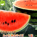すいか 北海道富良野産 富良野スイカ 3...
