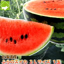北海道富良野産 スイカ 2Lサイズ6-7.5kg1玉【送料無料】【10P03Dec16】
