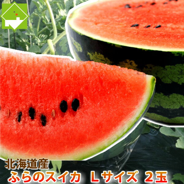 すいか　北海道　富良野産　Lサイズ　5kg以上　1玉　別途送料が発生する地域あり