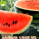 すいか 北海道富良野産 有機肥料でとって...