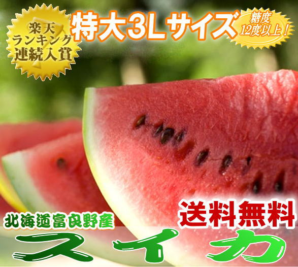 【北海道富良野産】有機肥料でとっても甘く育ったスイカ　3L(7．5kg以上）　1玉【送料無料】