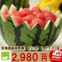 すいか 北海道富良野産 スイカ Lサイズ 5kg 1玉 送料無料