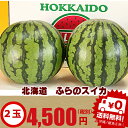 北海道富良野産 スイカ Lサイズ 2玉入り 送料無料