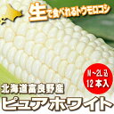 北海道富良野産 ピュアホワイト 12本入(MからLサイズ込)【送料無料】【10P03Dec16】