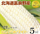 【幻の白いとうもろこし】北海道富良野産　ピュアホワイト5本