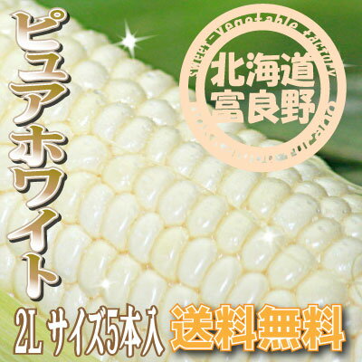 「ご予約販売」北海道富良野産　激甘トウモロコシ　ピュアホワイト　5本【送料無料】【10P0…...:sweet-vegetable:10003384