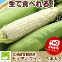 【7月発送】北海道富良野産 激甘トウモロコシ ピュアホワイト 5本【送料無料】【10P03Dec16】