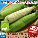 北海道富良野産 ピュアホワイト 20本入【送料無料】【10P...