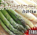 『ご予約販売』【送料無料】最高級ホワイトアスパラガス500g&グリーンアスパラガス500g 合計Lサイズ以上1kgセット【平成25年5月下旬から6月上旬発送】