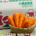 にんじん 訳あり 北海道富良野産 10kg 送料無料...