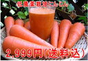 ͭѤޡͻ10kg̳ƻݡǹ˥󥸥10kg̵͡1023 nitoro-sou1023ۡzenkoku_so1023