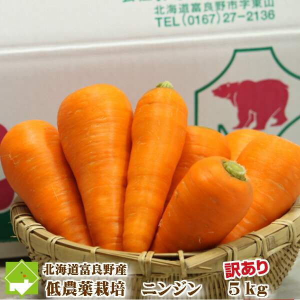 【激安】北海道富良野産　低農薬栽培　訳あり（規格外）　人参(にんじん）　（SサイズからLサイズ込）　5kg【送料無料】