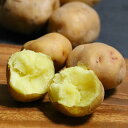 北海道富良野産 じゃが芋(ジャガイモ) 北あかり 3kg (15個前後)【10P03Dec16】