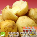 【送料無料】北海道富良野産 じゃがいも 男爵使用!無添加 バタじゃが 15玉入【10P