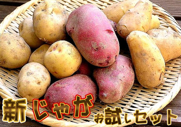 2013年新じゃがいも【予約開始】北海道富良野産　じゃが芋（ジャガイモ）　3種類5kgセット【メークイン・男爵・レッドムーン】　02P4Apr12　10P4Apr12　　【2sp_120405_b】