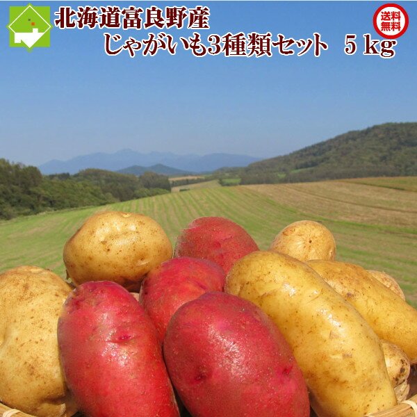 2013年新じゃがいも【予約開始】北海道富良野産　お試し3種類のじゃが芋（ジャガイモ）5kgセット【メークイーン・男爵・レッドムーン】　02P4Apr12　10P4Apr12　　【2sp_120405_b】