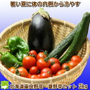 体内から冷やすクールベジタブル 【夏野菜セット 2kg詰め】...