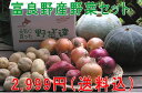 100個限定!秋の味覚満載!こんなに入って2999円!北海道富良野産 低農薬 旬の野菜セット10kg【送料無料】 100個限定 【1110モバイル送料無料】