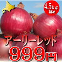 北海道富良野産 訳あり 赤いたまねぎ アーリーレッド4.5kg 【10P03Dec16】