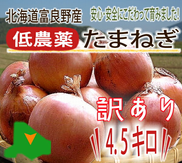2013年新玉ねぎ【予約開始】北海道富良野産　低農薬であま〜い玉葱（たまねぎ）訳あり　4.5kg 　02P20Apr12　10P20Apr12