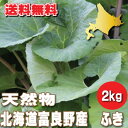 【ご予約販売】北海道ふらの産 天然 無農薬 ふき(フキ) 2kg 【送料無料】【10P03Dec16】
