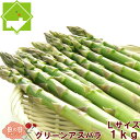 【母の日配送】カーネーション付き!ハウス栽培 北海道富良野産 グリーンアスパラ Lサイズ 1kg 【送料無料】母の日 ギフト