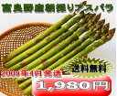 【トモロコシのように甘いアスパラ】500g北海道富良野産 最高級プレミアム グリーンアスパラ秀品(S〜Mサイズ500g)【合計500g】 【送料無料】 【we_pup090417】【モバイル_0420】【090413_送料無料企画】