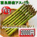 500ȢͽʡڥȥΤ褦˴Ťѥ1kg̳ƻǹץߥࡡ꡼󥢥ѥ齨ʡL500gM500gˡڹ1kgۡwe_pup090417ۡڥХ_0420ۡ090413_̵