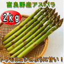 【500箱限定】早期予約割引価格【トモロコシのように甘いアスパラ】2kg北海道富良野産 最高級プレミアム グリーンアスパラ秀品(Lサイズ1kgMサイズ1kg)【合計2kg】 【we_pup090417】【モバイル_0420】【090413_送料無料企画】