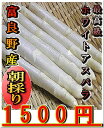 トウモロコシのような甘み!北海道富良野産・朝採りアスパラ産地直送【2009年5月発送】白い貴婦人こと高級食材ホワイトアスパラ最高品質の秀品2L〜L お試し500g 【we_pup090417】【モバイル_0420】