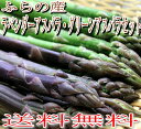 ご予約販売【送料無料】最高級ラベンダーアスパラ・グリーンアスパラガス 合計1kgセット