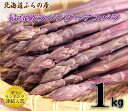 【ご予約販売】北海道富良野産 希少!ラベンダーアスパラ(紫アスパラガス)1kg S?2Lサイズ込 【送料無料】