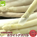 【ご予約販売】北海道富良野産 高級食材ホワイトアスパラ 最高品質秀品 Lサイズから3L 1kg