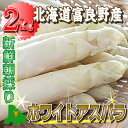 【ご予約販売】北海道富良野産 高級食材ホワイトアスパラ 最高品質秀品 Lサイズから3L 2kg