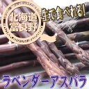 【ご予約販売】北海道富良野産 希少!ラベンダーアスパラ(紫アスパラ) Lサイズ100g