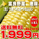 北海道富良野産 スイートとうもころこし 訳あり 恵味(めぐみ) Mサイズ14本入り 【送料無料】【10P30May15】