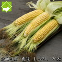 生で食べれる 北海道 富良野産 フルーツ とうもころこし恵味...