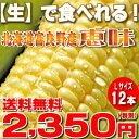 【生】で食べれるトウモロコシ 北海道富良野産 恵味【 Lサイズ12本入り】 送料無料【10P30May15】