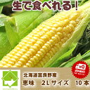 【平成30年発送】生で食べれる!北海道富良野産 とうもろこし 恵味 秀品 2L 10本 【送料無料】【DEAL】