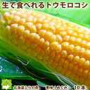 とうもこし 生で食べられる 北海道 富良野産 恵味 2Lサイ...