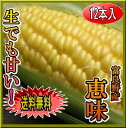 富良野産フルーツトウモロコシ【送料無料】まずは生でどうぞ!スイーツみたいなトウモロコシです。生でも電子レンジでも気軽に食べれて、とっても甘い!【北海道富良野産】【スイーツみたいなトウモロコシ恵味(めぐみ)】【生でも食べれます】味来より甘いとうきび 【gw_m_fs】【gw_m_wa】【gw_m_pt】【gw_m_re】 【gw_m_hb】【gw_m_tm】