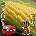 早期ご予約割引!フルーツ感覚のトウモロコシ【北海道富良野産】【スイーツみたいなトウモロコシ恵味(めぐみ)】【生でも食べれます】味来より甘いとうきび)【we_pup090417】
