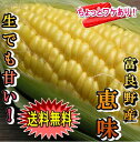 「ちょっと訳あり」フルーツ感覚のトウモロコシ10本入り!【北海道富良野産】ちょっと訳あり!【スイーツみたいなトウモロコシ恵味(めぐみ)10本入】味来より甘い!とうきび 【送料無料】(地域によって別途送料525円かかります)【gw_m_fs】【gw_m_wa】【gw_m_pt】【gw_m_re】 【gw_m_hb】【gw_m_tm】