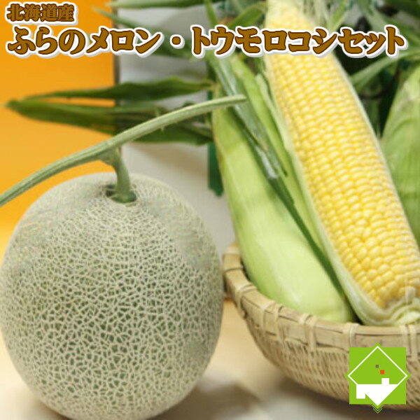 【ご予約販売】北海道富良野産　赤肉メロン1玉・恵味　2L12本セット　【送料無料】　【2sp_120706_a】 